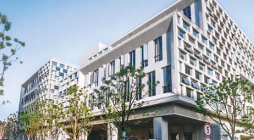 中国发展中心 (RDC)
