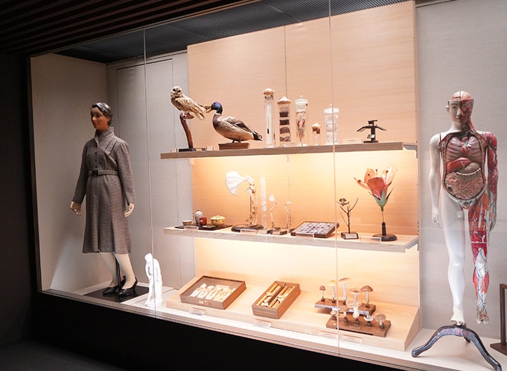 最左侧:岛津公司于1929年生产的人体模型,目前在博物馆展出。