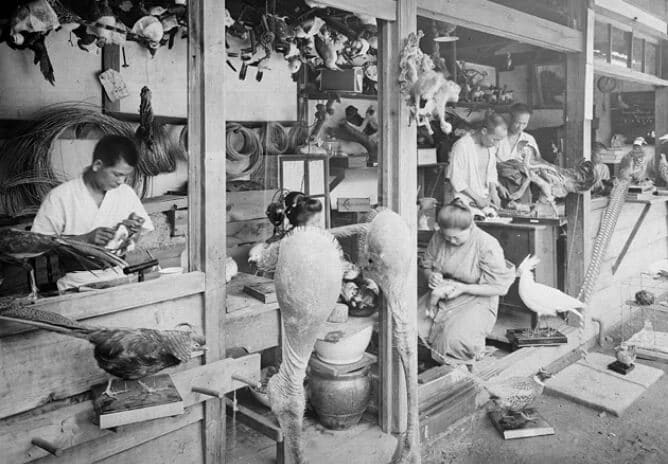 Scientific specimen manufacturing began