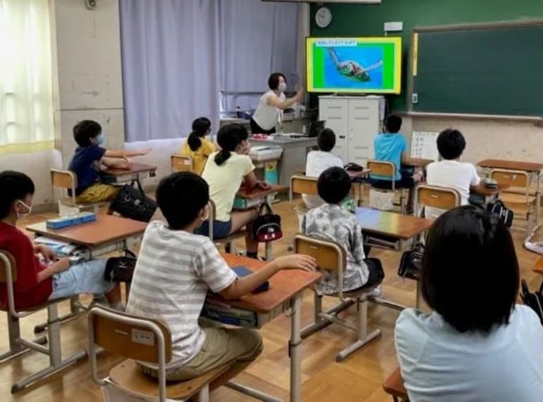 关于环境的讲座